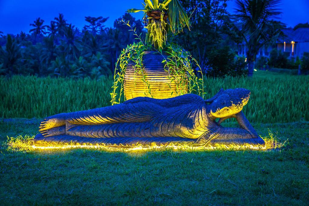 B Saya Villas Ubud Exteriör bild