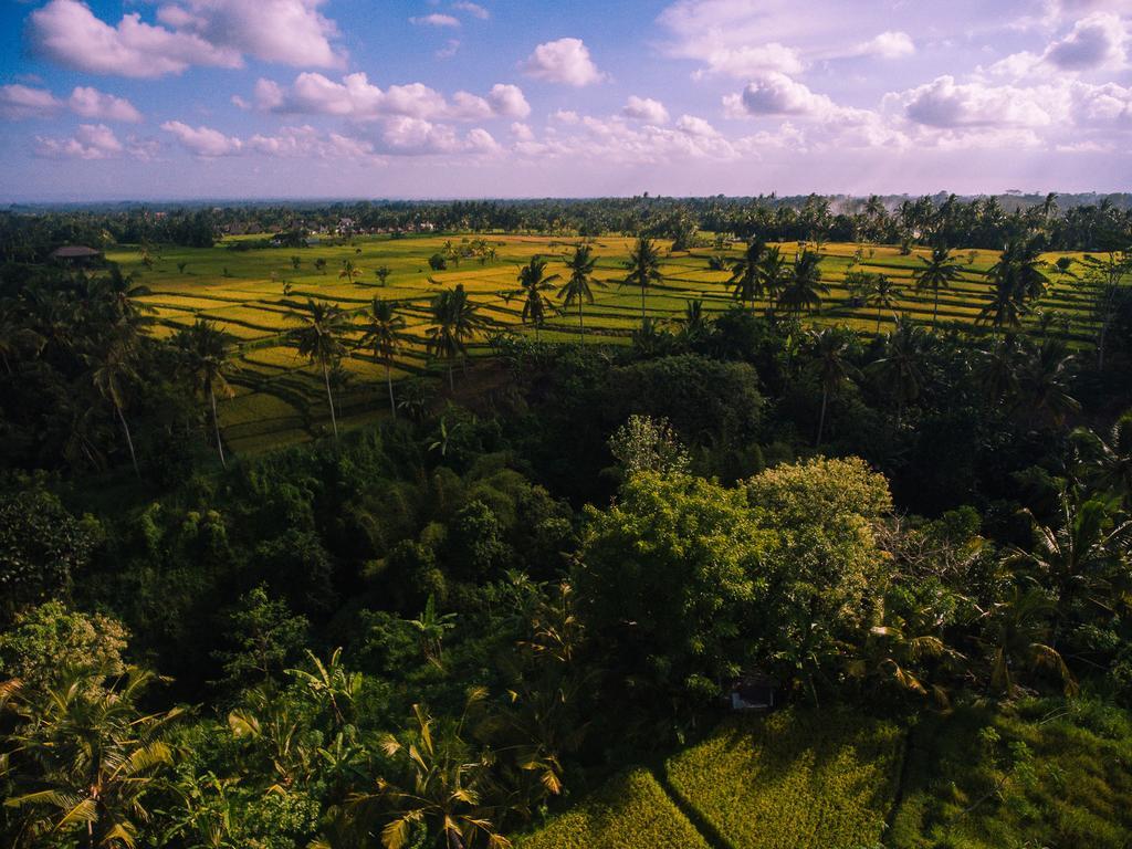 B Saya Villas Ubud Exteriör bild