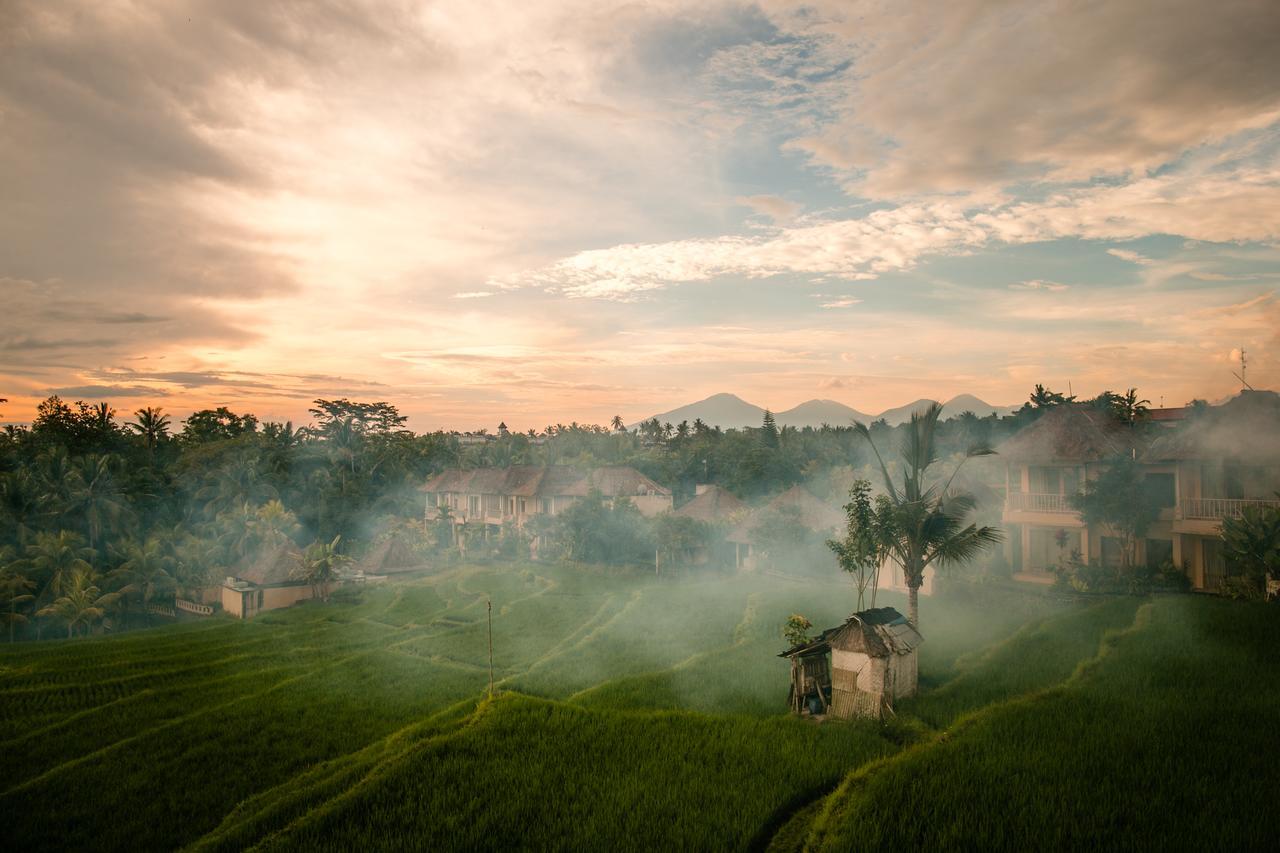 B Saya Villas Ubud Exteriör bild