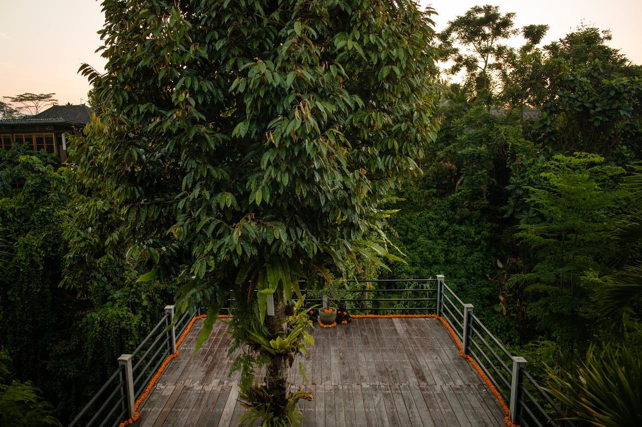 B Saya Villas Ubud Exteriör bild